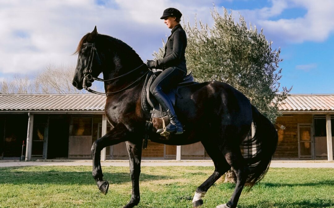 Pippa Callanan Classical Dressage Clinic, October 26-28