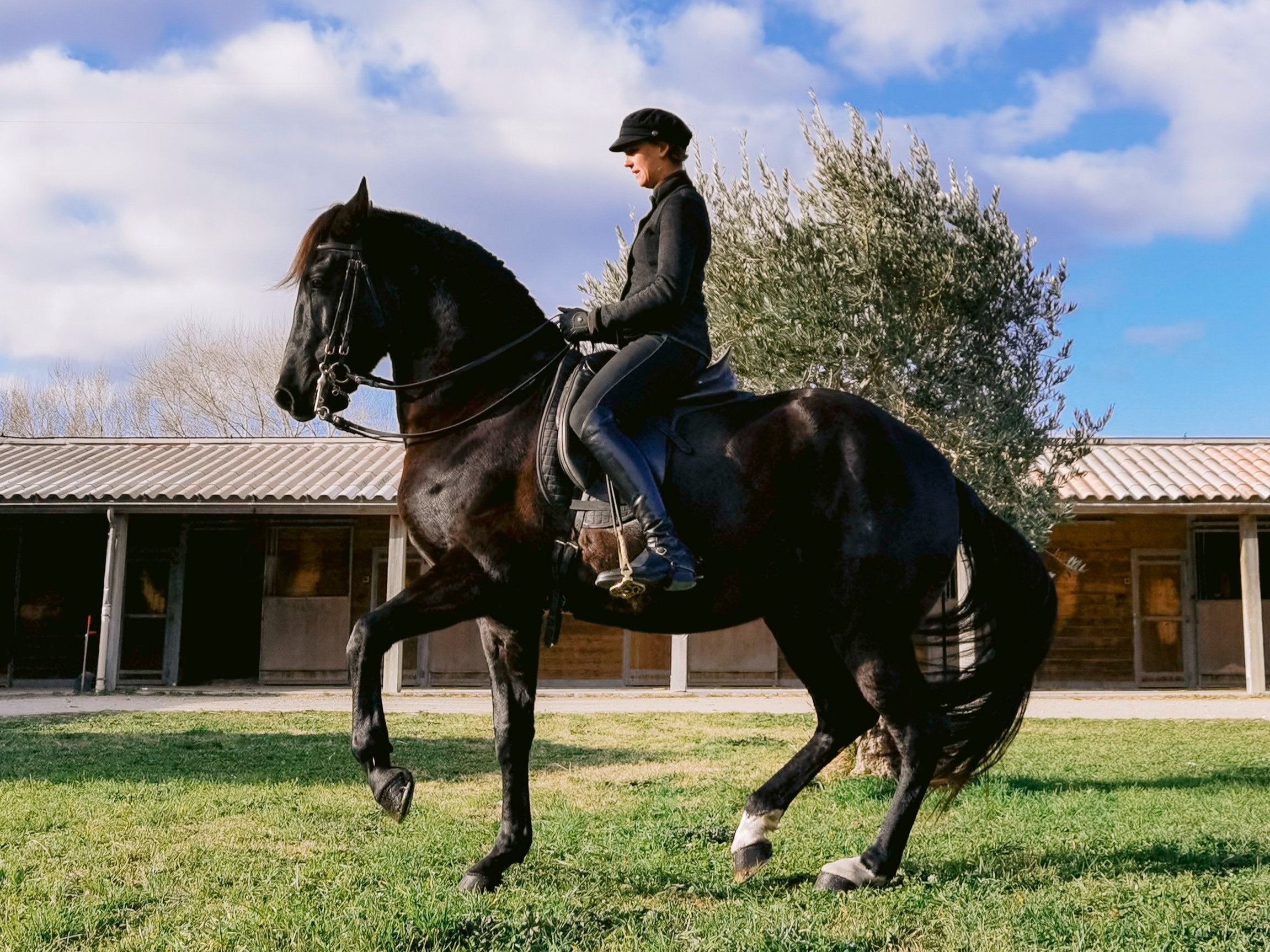 Pippa Callanan Classical Dressage Clinic, October 26-28